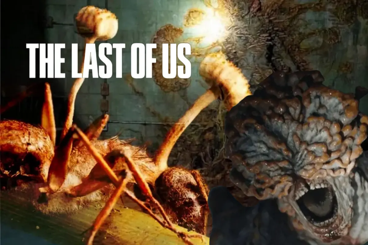 Cordyceps Tá Ficando Inteligente